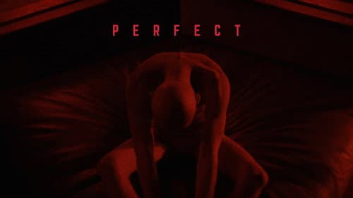 Perfect still