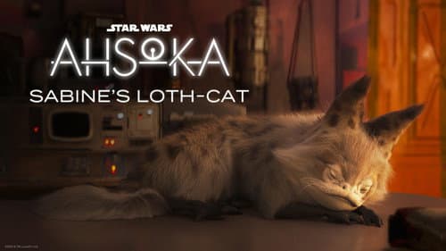 Ahsoka: Sabine's Loth-Cat still
