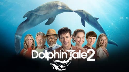 Dolphin Tale 2 still