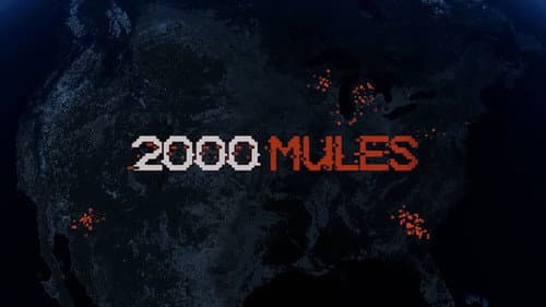 2000 Mules still