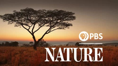 Nature still