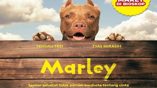 Marley still