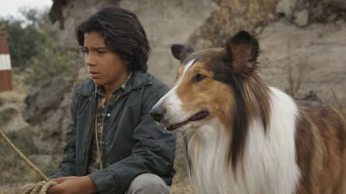 Lassie: The Adventures of Neeka still