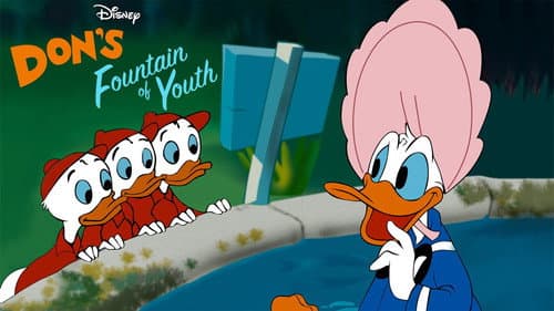 Don's Fountain of Youth still
