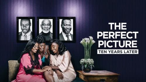 The Perfect Picture: Ten Years Later still