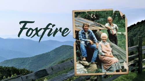 Foxfire still