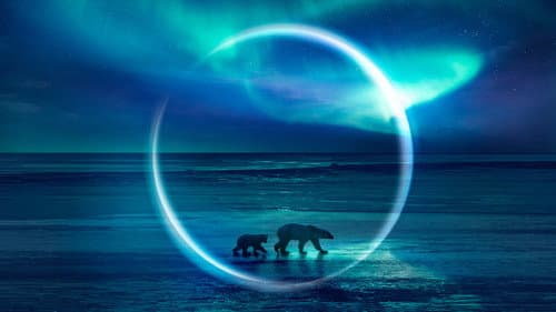 Frozen Planet II still