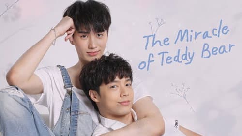 The Miracle of Teddy Bear still