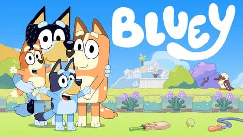 Bluey still