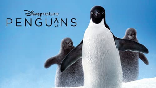Penguins still