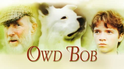Owd Bob still