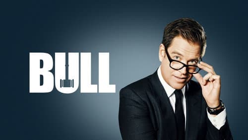 Bull still