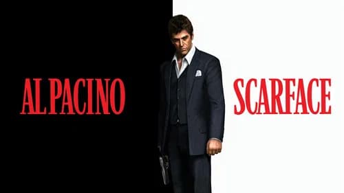 Scarface still
