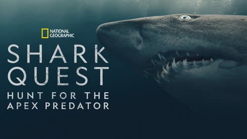 Shark Quest: Hunt For The Apex Predator still