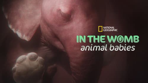 In the Womb: Animal Babies still