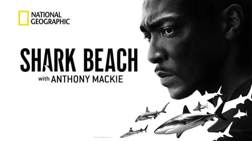 Shark Beach with Anthony Mackie still