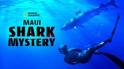 Maui Shark Mystery still