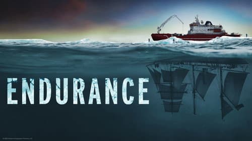 Endurance still