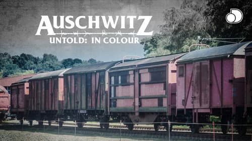Auschwitz Untold: In Colour still