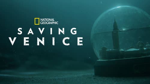 Saving Venice still