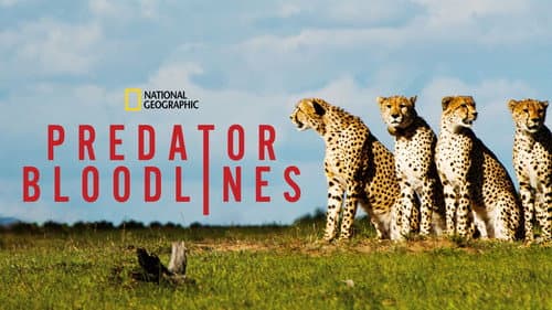 Predator Bloodlines still