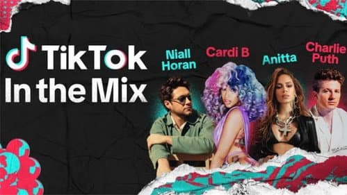 TikTok: In the Mix still
