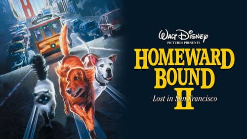 Homeward Bound II: Lost in San Francisco still