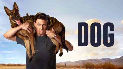 Dog still