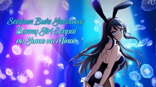 Rascal Does Not Dream of Bunny Girl Senpai still
