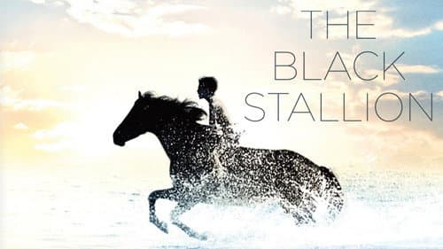 The Black Stallion still