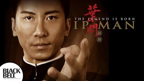 The Legend Is Born: Ip Man still