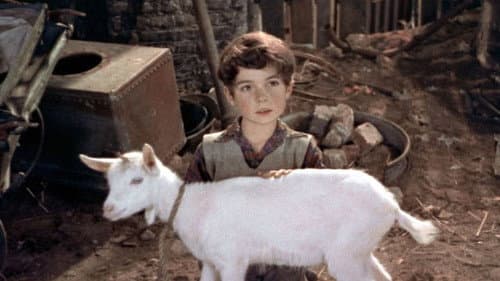 A Kid for Two Farthings still