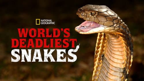 World's Deadliest Snakes still