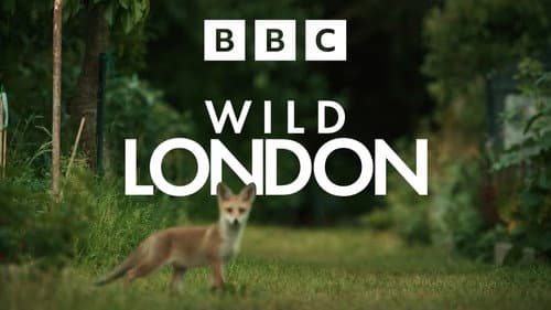 Wild London still