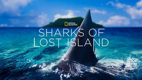 Sharks of Lost Island still