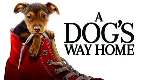 A Dog's Way Home still
