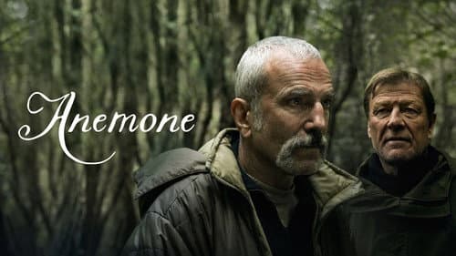Anemone still