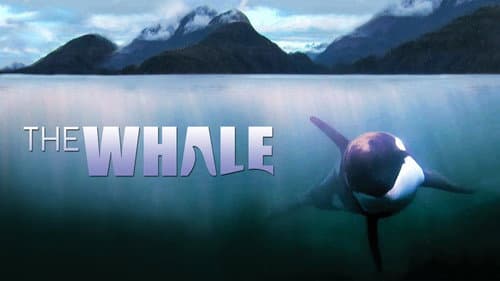 The Whale still