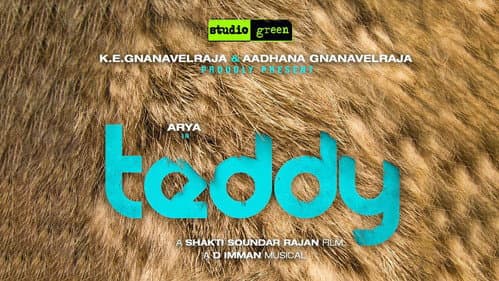 Teddy still