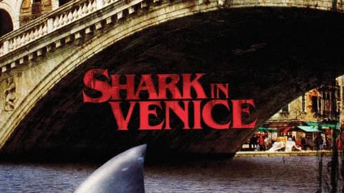 Sharks in Venice still
