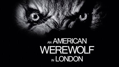 An American Werewolf in London still