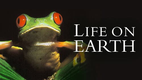 Life on Earth still