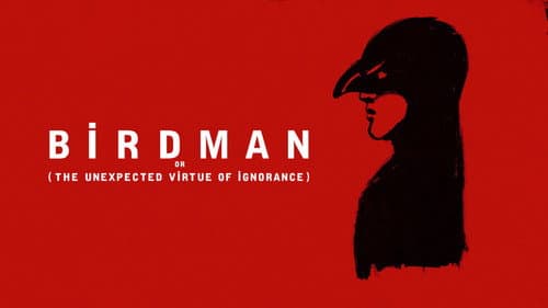 Birdman or (The Unexpected Virtue of Ignorance) still