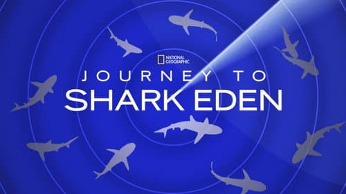 Journey to Shark Eden still