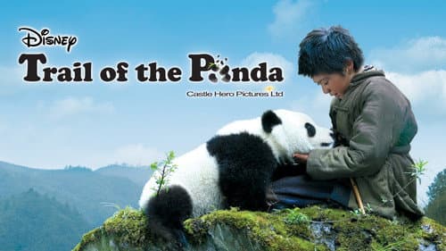 Trail of the Panda still