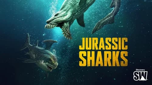 Jurassic Sharks still