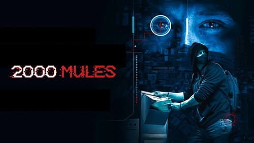 2000 Mules still