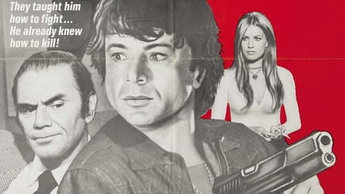 The Boxer still
