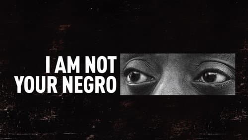 I Am Not Your Negro still