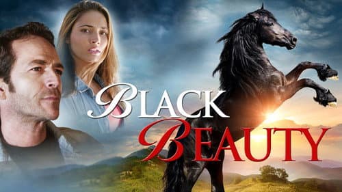 Black Beauty still